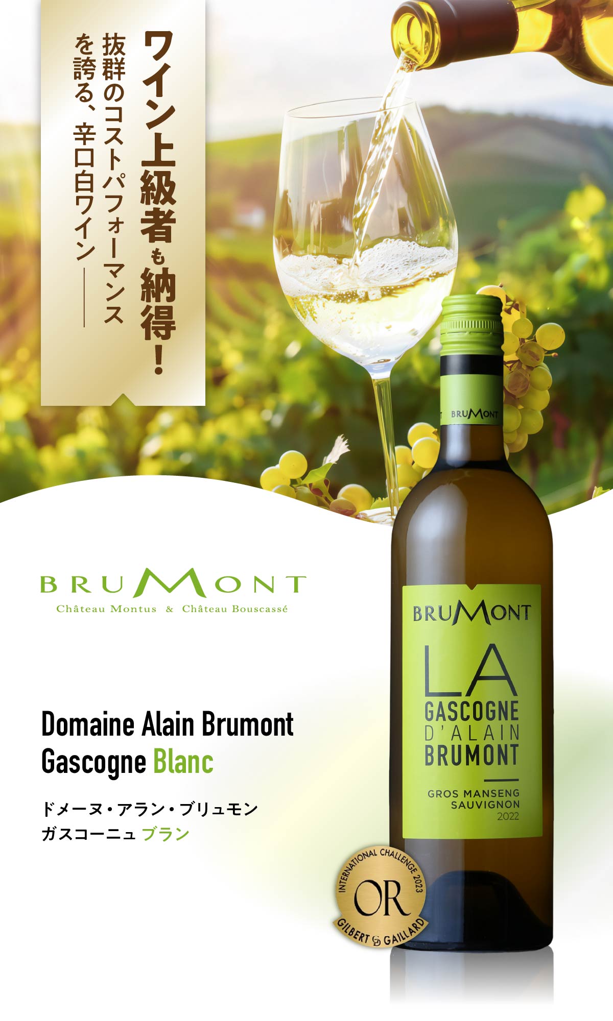 ドメーヌ・アラン・ブリュモン ガスコーニュ ブラン×12本セット 辛口 白 ワイン ドメーヌ・アラン・ブリュモン ガスコーニュ ブラン×12本セット 辛口 白 ワイン