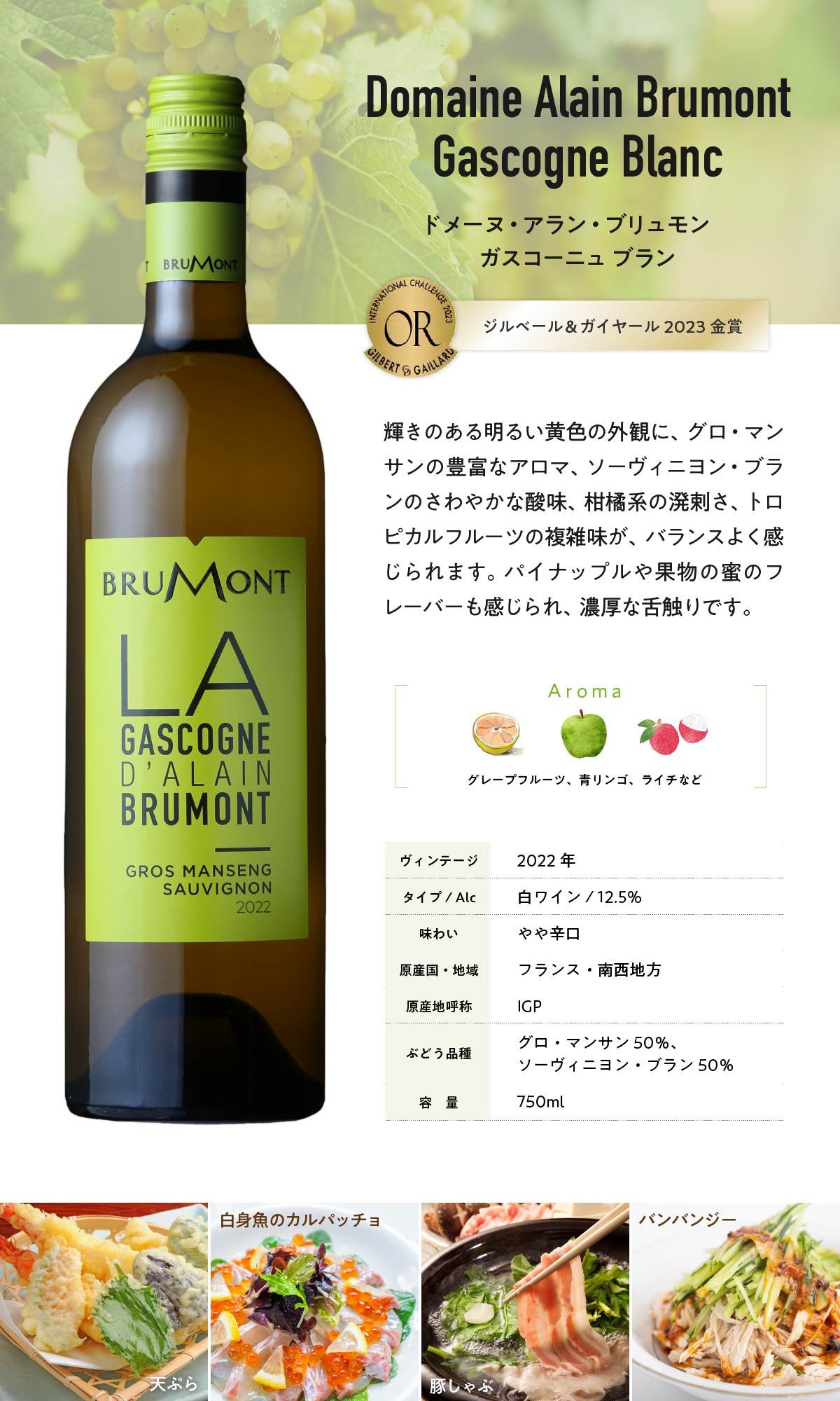 ドメーヌ・アラン・ブリュモン ガスコーニュ ブラン×12本セット 辛口 白 ワイン ドメーヌ・アラン・ブリュモン ガスコーニュ ブラン×12本セット 辛口 白 ワイン