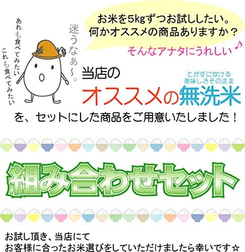 令和6年産 無洗米 北海道産ゆめぴりか 5kg＋無洗米 玄白飯 5kg 計10kg
