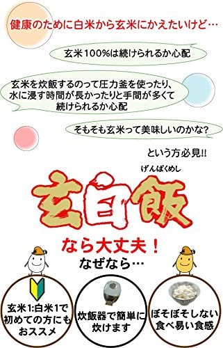 令和6年産 無洗米 北海道産ゆめぴりか 5kg＋無洗米 玄白飯 5kg 計10kg