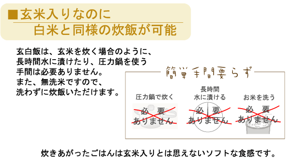 令和6年産 無洗米 北海道産ゆめぴりか 5kg＋無洗米 玄白飯 5kg 計10kg