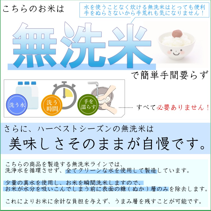 令和6年産 無洗米 北海道産ゆめぴりか 5kg＋無洗米 玄白飯 5kg 計10kg
