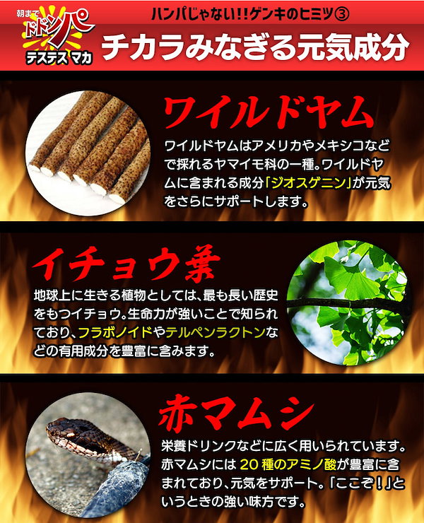 高麗人参健康食品秘密の健康力5袋サンプル17袋もお付けします。