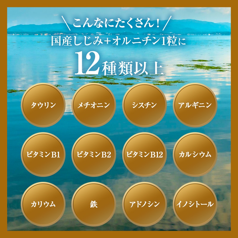 定番超激安 ユウキ製薬 160粒*12個... : 健康食品・サプリ : 国産しじみ+オルニチン 新作超激得