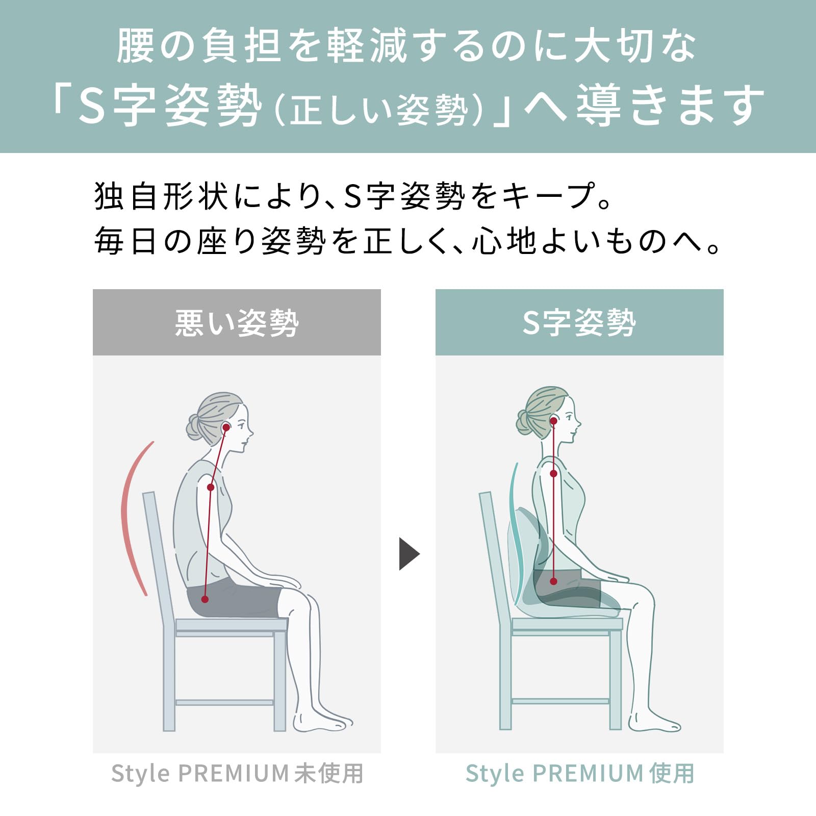 スタイル シート シリーズ/Style Seat Series MTG エムティージー 骨盤サポートチェア 座椅子 (スタイル プレミアム/Style PREMIUM, ブラウン) 24799