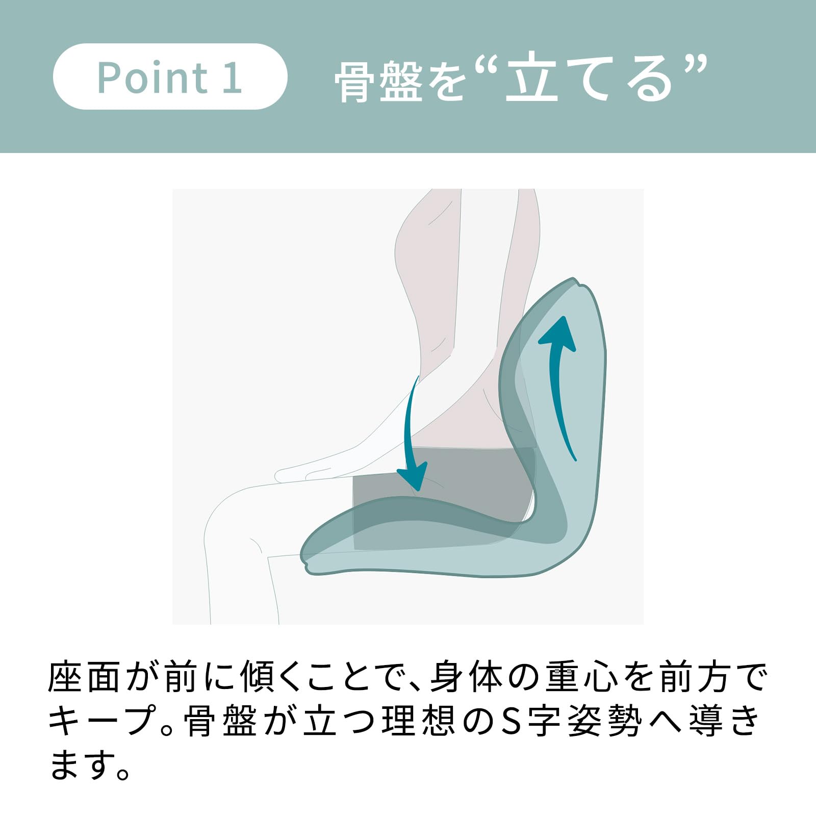 スタイル シート シリーズ/Style Seat Series MTG エムティージー 骨盤サポートチェア 座椅子 (スタイル プレミアム/Style PREMIUM, ブラウン) 24799