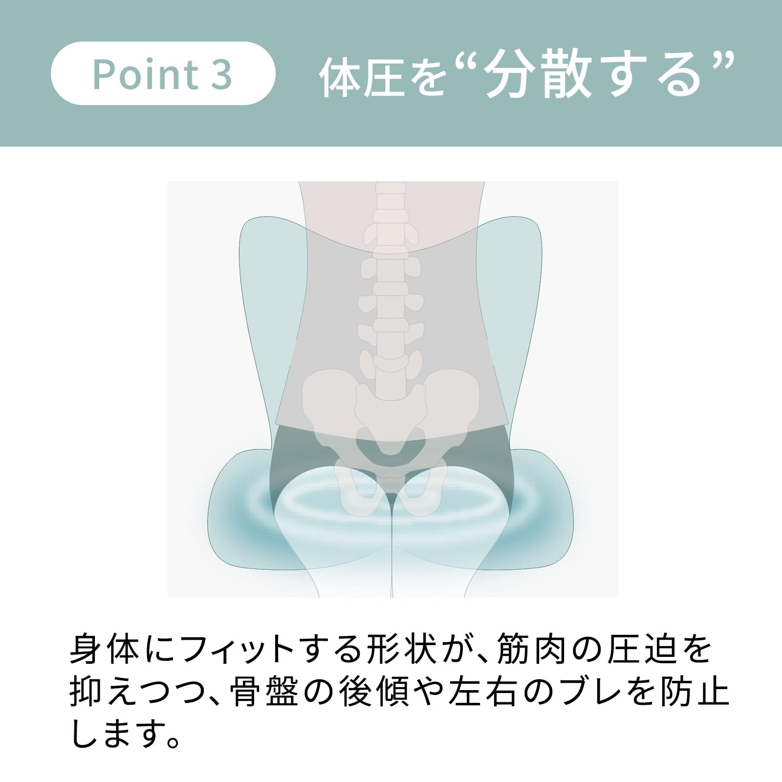 スタイル シート シリーズ/Style Seat Series MTG エムティージー 骨盤サポートチェア 座椅子 (スタイル プレミアム/Style PREMIUM, ブラウン) 24799