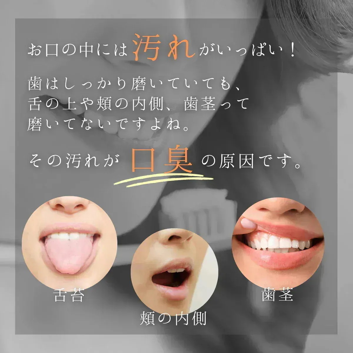 メガ割 マウスウォッシュ 600ml 柚子 12本セット ピエラス 口臭予防 キシリトール 配合 洗口液 デンタルウォッシュ 低刺激 ゆず まとめ買い メガ割 マウスウォッシュ 600ml 柚子 12本セット ピエラス 口臭予防 キシリトール 配合 洗口液 デンタルウォッシュ 低刺激 ゆず まとめ買い