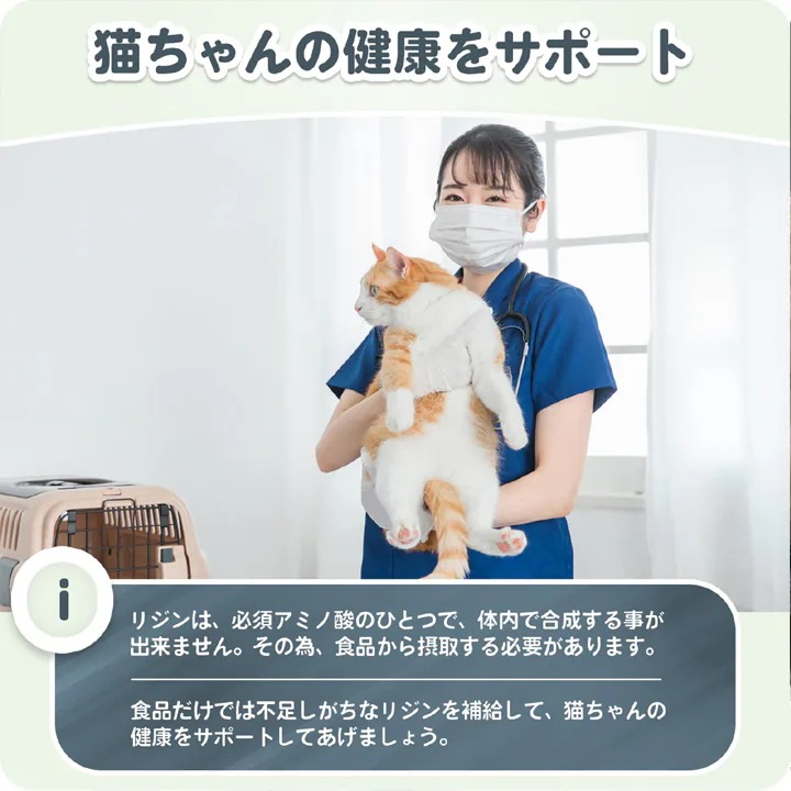 Happet 猫用 L-リジン 国産100% 60g ２セット 微細粉末 スプーン付き 粉末タイプ ペット用リジン 無味無臭タイプ 猫用りじんサプリメント猫風邪 猫用風邪薬 猫用風邪サプリメント