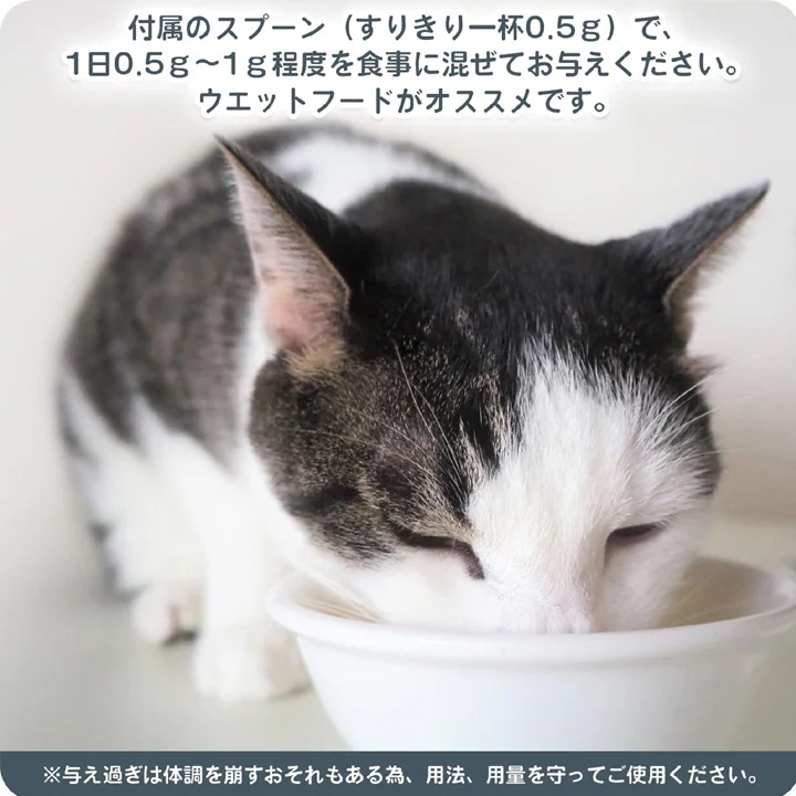 Happet 猫用 L-リジン 国産100% 60g ２セット 微細粉末 スプーン付き 粉末タイプ ペット用リジン 無味無臭タイプ 猫用りじんサプリメント猫風邪 猫用風邪薬 猫用風邪サプリメント