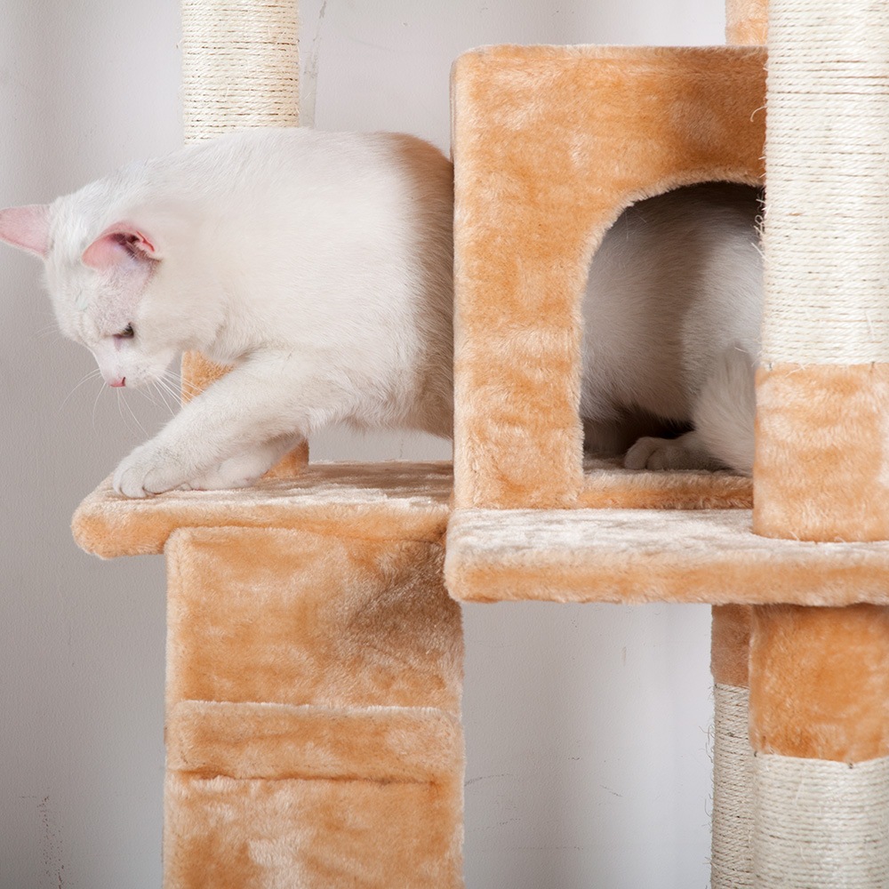 【国内出荷】【元SKU:TX020828】キャットタワー 据え置き おしゃれ 全高185cm 爪とぎ 麻紐 豪華なハウス付き 隠れ家 バスケット 多頭飼い ベージュbeige【ヤマト】 【国内出荷】【元SKU:TX020828】キャットタワー 据え置き おしゃれ 全高185cm 爪とぎ 麻紐 豪華なハウス付き 隠れ家 バスケット 多頭飼い ベージュbeige【ヤマト】