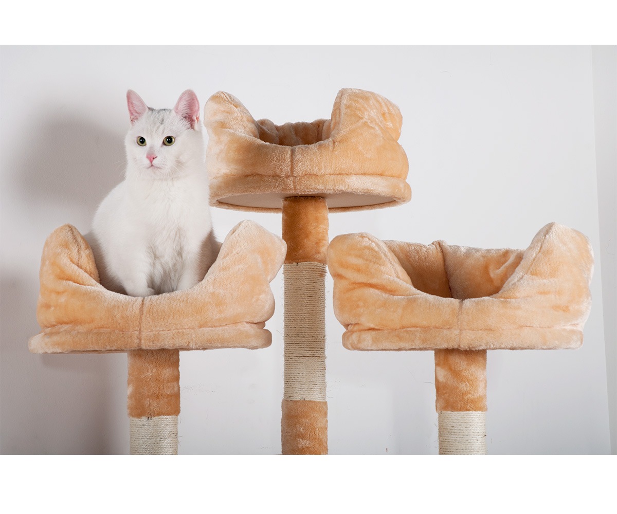 【国内出荷】【元SKU:TX020828】キャットタワー 据え置き おしゃれ 全高185cm 爪とぎ 麻紐 豪華なハウス付き 隠れ家 バスケット 多頭飼い ベージュbeige【ヤマト】 【国内出荷】【元SKU:TX020828】キャットタワー 据え置き おしゃれ 全高185cm 爪とぎ 麻紐 豪華なハウス付き 隠れ家 バスケット 多頭飼い ベージュbeige【ヤマト】