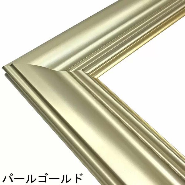 〔パールに輝くフレーム〕すごく軽い油絵額・キャンバス額・豪華油絵額・真珠油絵額　 超軽量油絵額SM号（227×158mm） パールゴールド〔代引不可〕 パールに輝くフレーム〕すごく軽い油絵額・キャンバス額・豪華油絵額