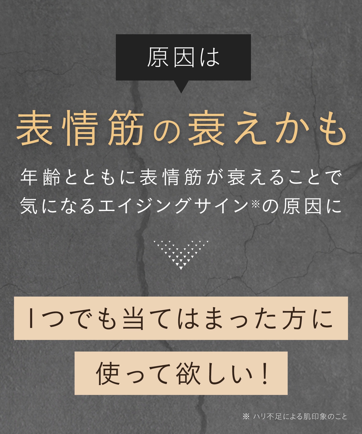 サロニア EMS リフトブラシ 美顔器 ems リフトアップ ハリ美容デンキブラシ 電気ブラシ