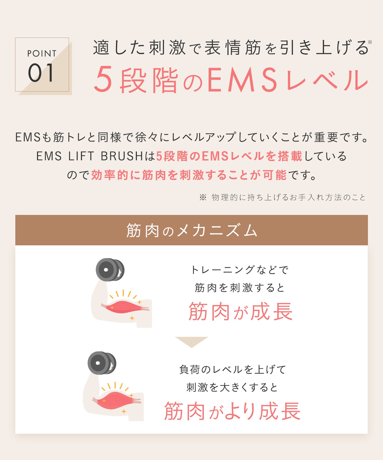 サロニア EMS リフトブラシ 美顔器 ems リフトアップ ハリ美容デンキブラシ 電気ブラシ
