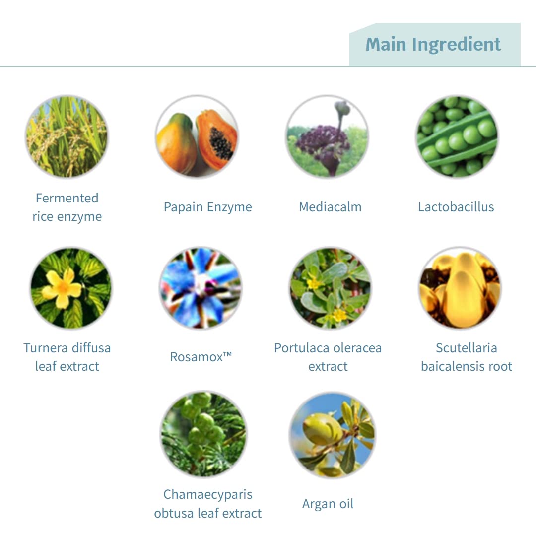 ルネセル [Rene Cell] プラセン エンザイム サブ アシッド ウォッシュパウダー (80g/2.8オンス) [並行輸入品]