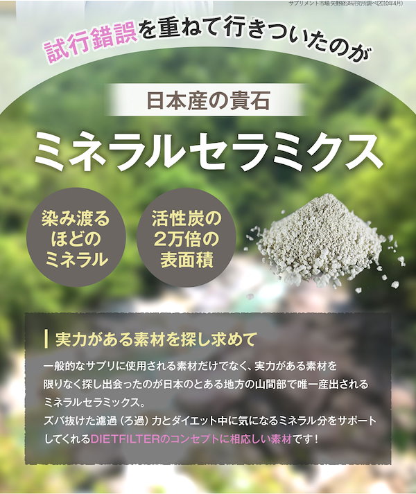 【2月1日より出荷】DIETFILTER ダイエットフィルター 30粒 安心の日本製