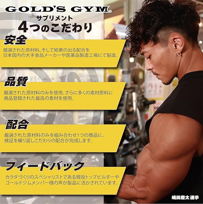 ゴールドジム(GOLDS GYM) ウエイトゲイナー チョコレート風味 900g ゴールドジム(GOLDS GYM) ウエイトゲイナー チョコレート風味 900g