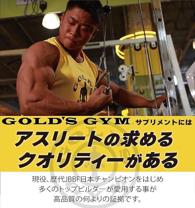 ゴールドジム(GOLDS GYM) ウエイトゲイナー チョコレート風味 900g ゴールドジム(GOLDS GYM) ウエイトゲイナー チョコレート風味 900g