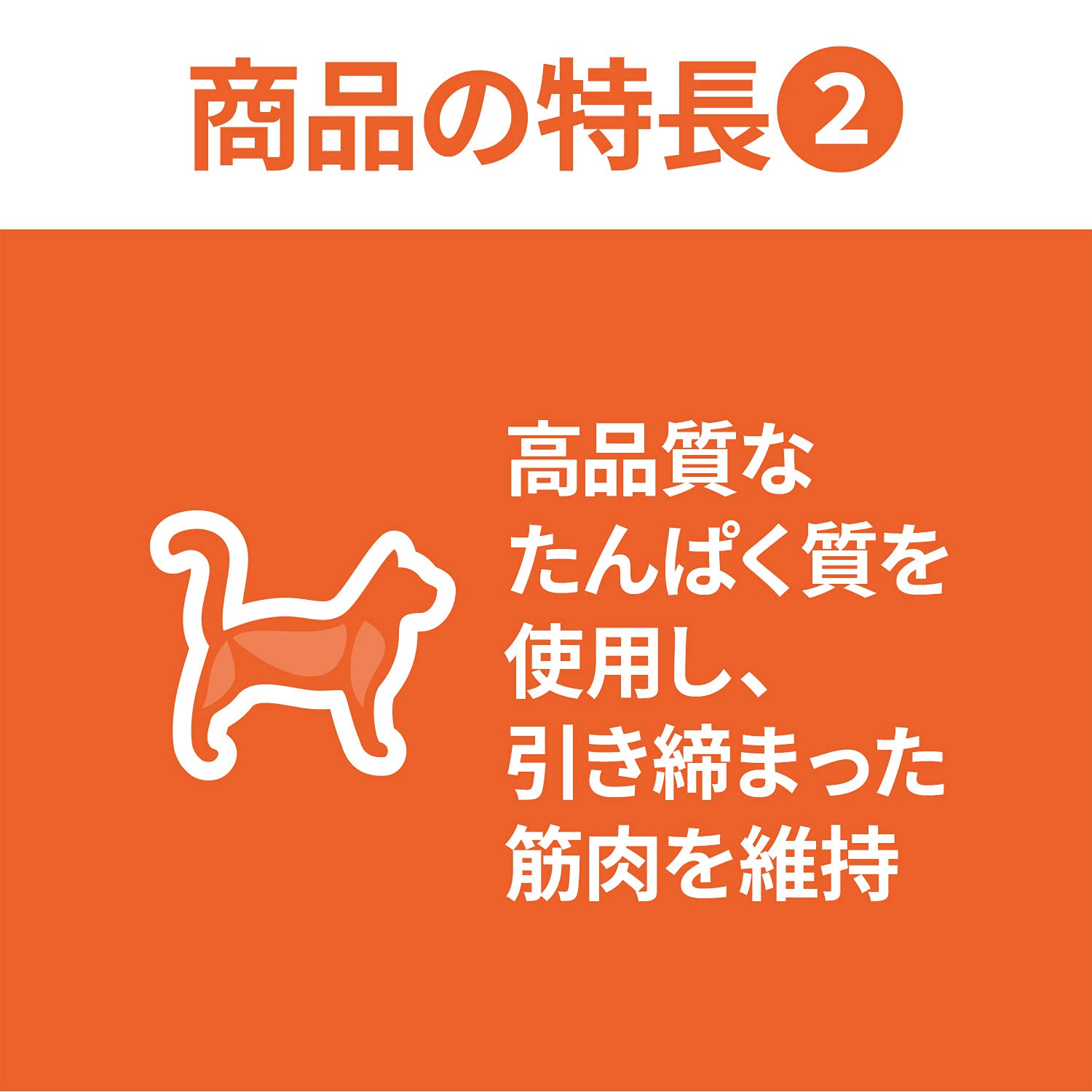 【Amazon.co.jp限定】 ヒルズ サイエンス・ダイエット キャットフード アダルト 1~6歳 チキン 4.8kg (300g x16袋) 成猫用 ドライ 下部尿路の健康維持 【Amazon.co.jp限定】 ヒルズ サイエンス・ダイエット キャットフード アダルト 1~6歳 チキン 4.8kg (300g x16袋) 成猫用 ドライ 下部尿路の健康維持