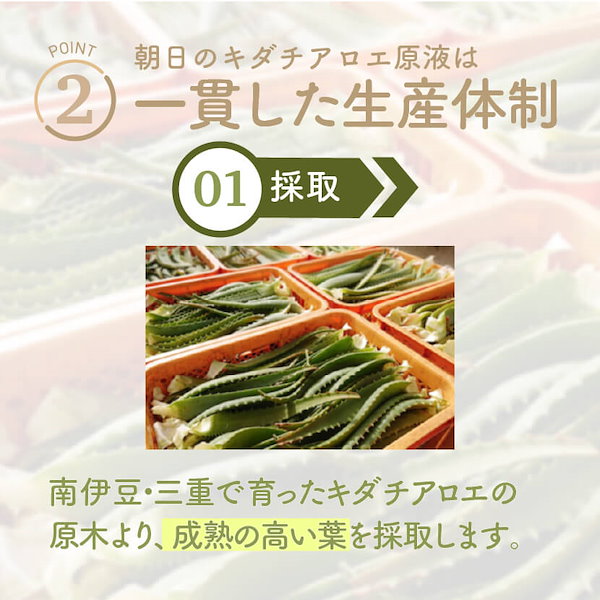 Qoo10] 国産 キダチアロエ 原液 720ml 6