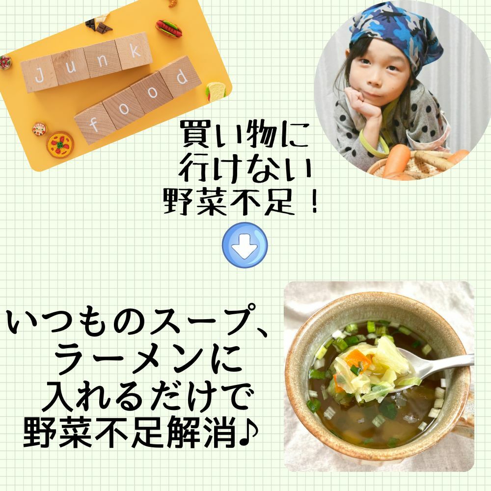 乾燥野菜ミックス 3000g 1袋 契約栽培 フリーズドライ オニオンスープ みそ汁の具 ラーメン具 玉ねぎ きゃべつ コーン にんじん チンゲンサイ 長期保存 添加物 無添加 かんそう や
