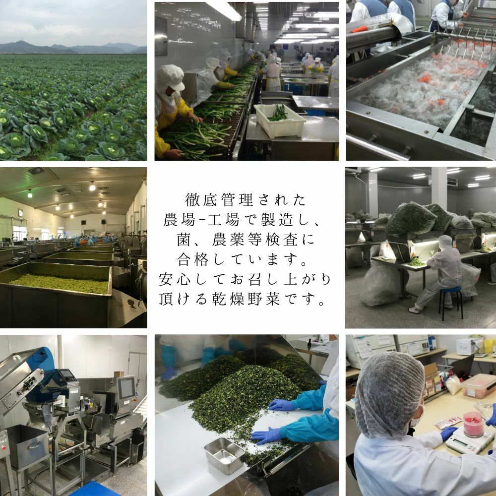乾燥野菜ミックス 3000g 1袋 契約栽培 フリーズドライ オニオンスープ みそ汁の具 ラーメン具 玉ねぎ きゃべつ コーン にんじん チンゲンサイ 長期保存 添加物 無添加 かんそう や