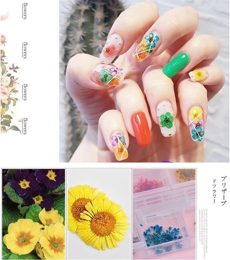 【10個セット】ネイルパーツ デコパーツ アクセサリー 花 ネイル 押し花 ドライフラワー 花材 フラワー 【10個セット】ネイルパーツ デコパーツ アクセサリー 花 ネイル 押し花 ドライフラワー 花材 フラワー