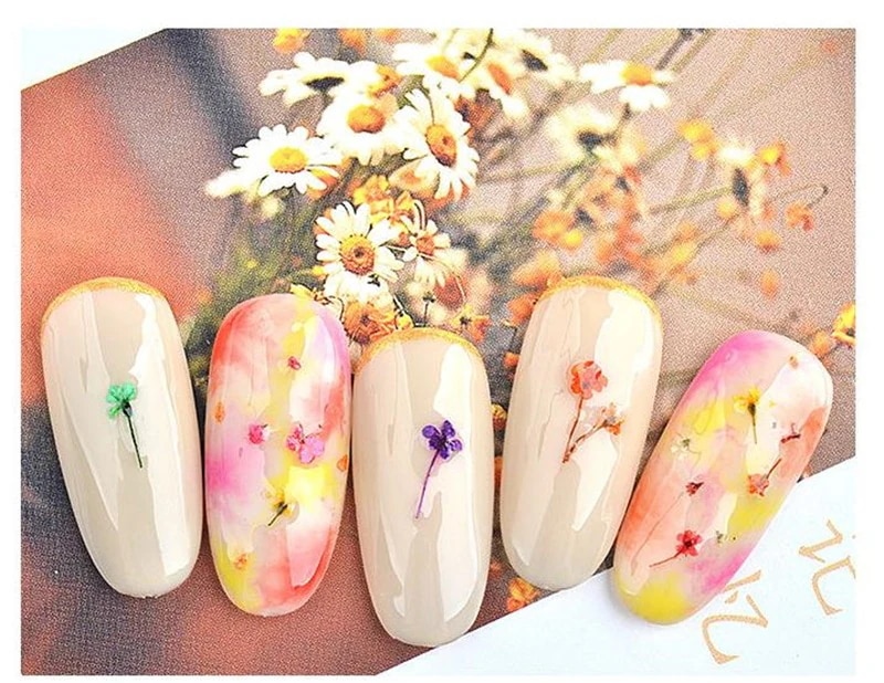 【10個セット】ネイルパーツ デコパーツ アクセサリー 花 ネイル 押し花 ドライフラワー 花材 フラワー 【10個セット】ネイルパーツ デコパーツ アクセサリー 花 ネイル 押し花 ドライフラワー 花材 フラワー