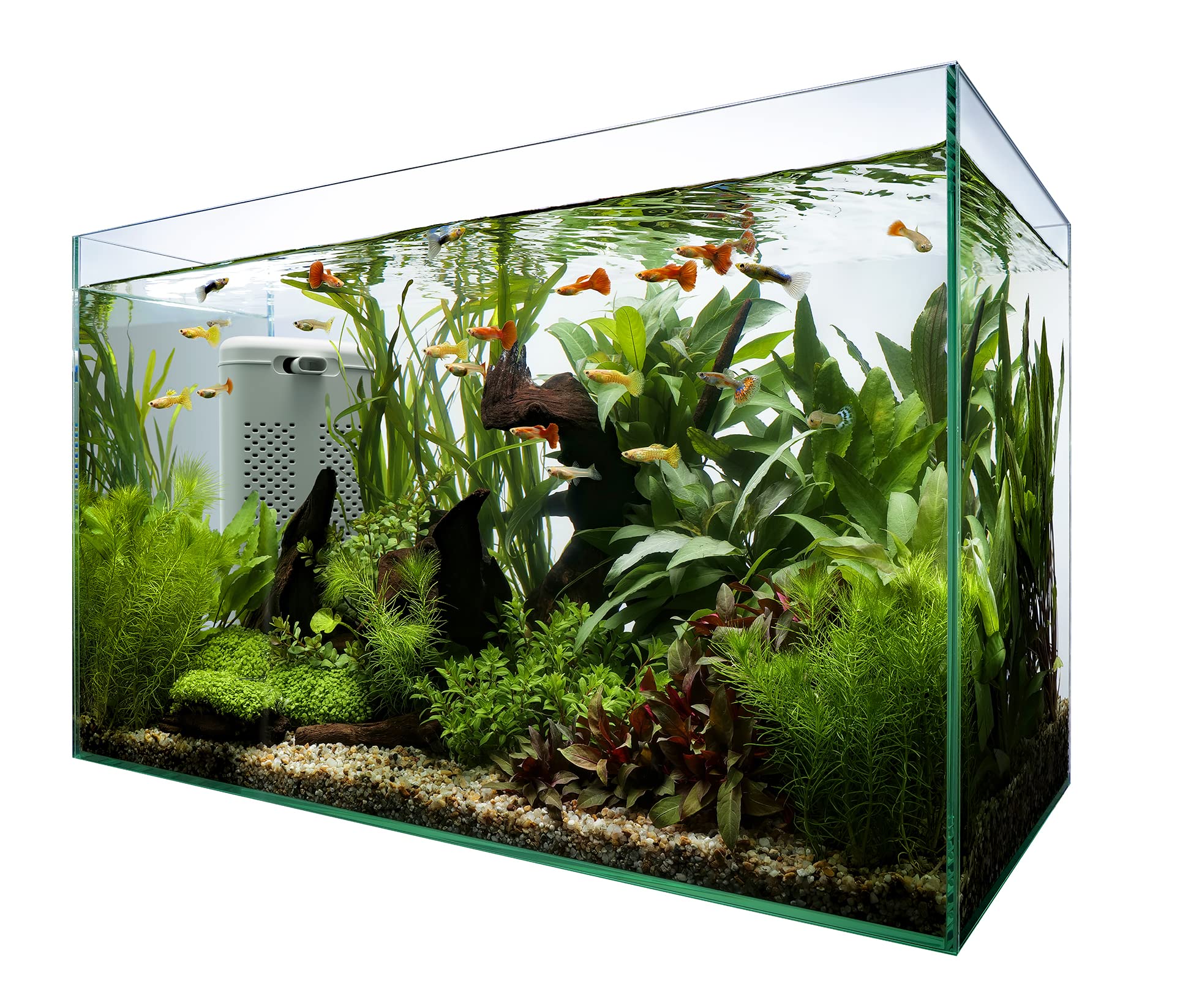テトラ (Tetra) ガラス テトラ サイレントフレックスセット 60 水槽 アクアリウム 熱帯魚 メダカ 金魚 その他 魚