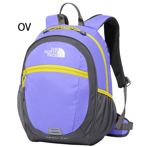 Qoo10] ザノースフェイス リュックサック 15L キッズ ジュニア
