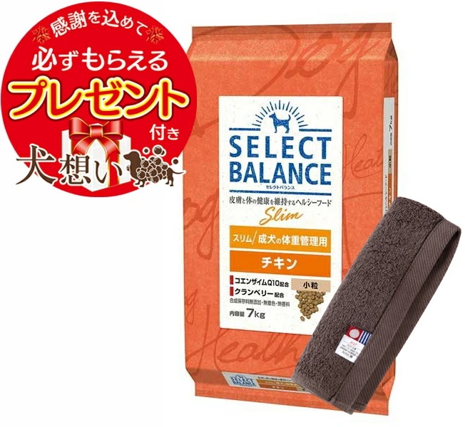 【プレゼント付】セレクトバランス スリム チキン 小粒 成犬の体重管理用 7kg【犬想いオリジナル今治ハンドタオルセット】【タオルカラー モカ】【正規品】