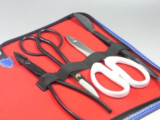盆栽 初心者の方におすすめ小品盆栽... : ガーデニング・DIY・工具 道具 超歓迎即納
