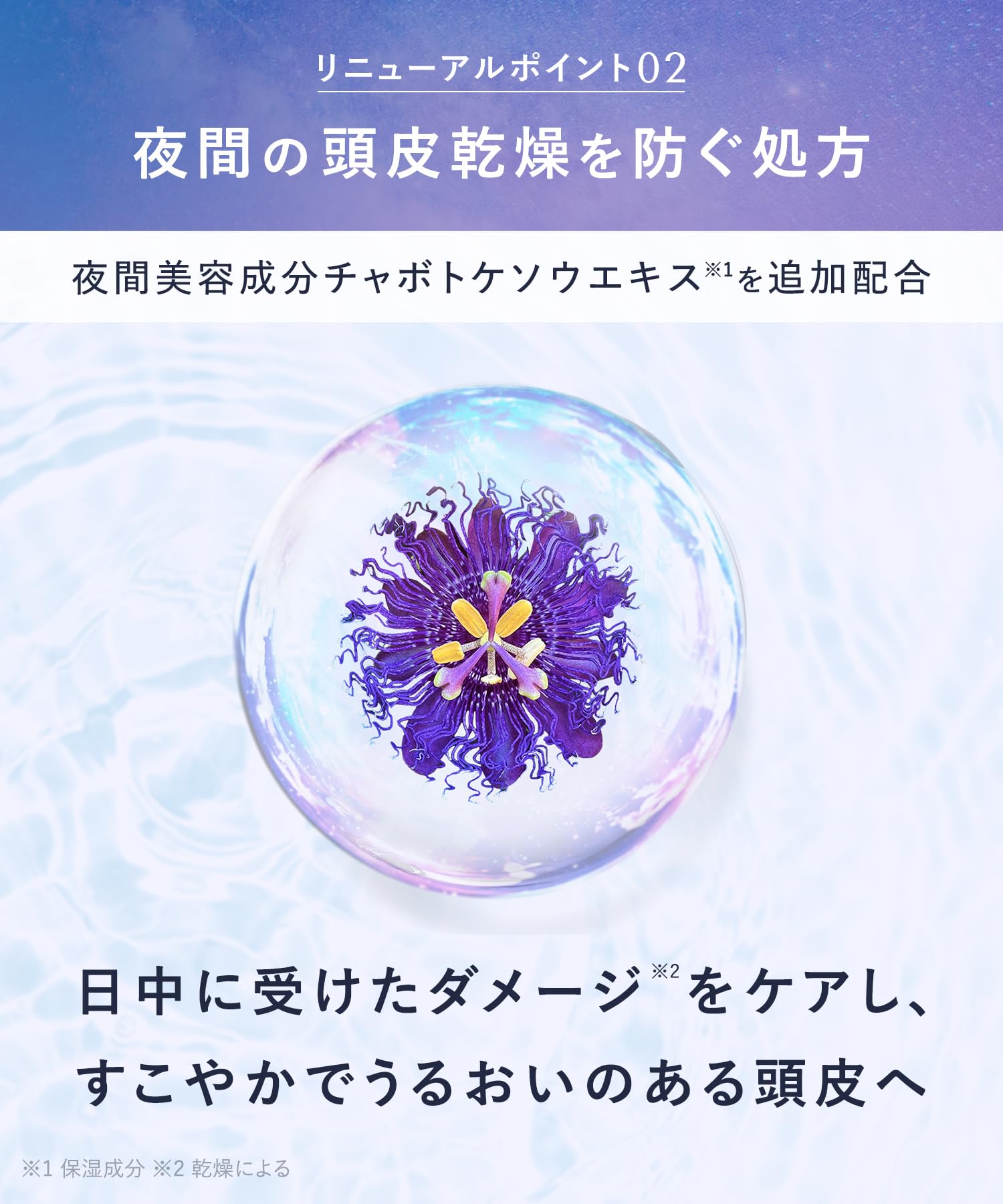 【新モデル】 YOLU ヨル シャンプー トリートメント セット 詰め替え 大容量 リラックスナイトリペア 【新モデル】 YOLU ヨル シャンプー トリートメント セット 詰め替え 大容量 リラックスナイトリペア