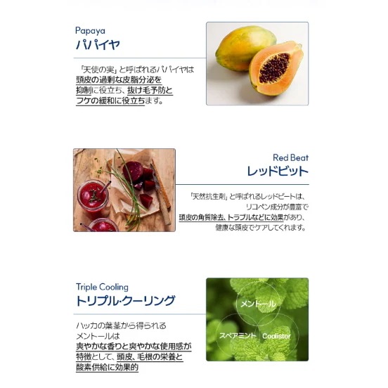 【1+1】クール ヘアロス シャンプー 500ml +トリートメント500ml+アンプル50ml /ダメージケア/ ヘアケア/ トリートメント/頭皮ケア/ 頭皮クレンジング/ 抜け毛対策/ 抜け毛 【1+1】クール ヘアロス シャンプー 500ml +トリートメント500ml+アンプル50ml /ダメージケア/ ヘアケア/ トリートメント/頭皮ケア/ 頭皮クレンジング/ 抜け毛対策/ 抜け毛