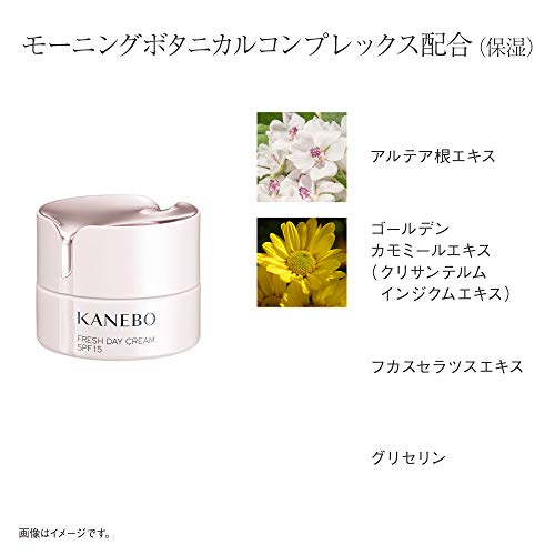 カネボウ カネボウ : スキンケア : KANEBO(カネボウ) 超歓迎低価
