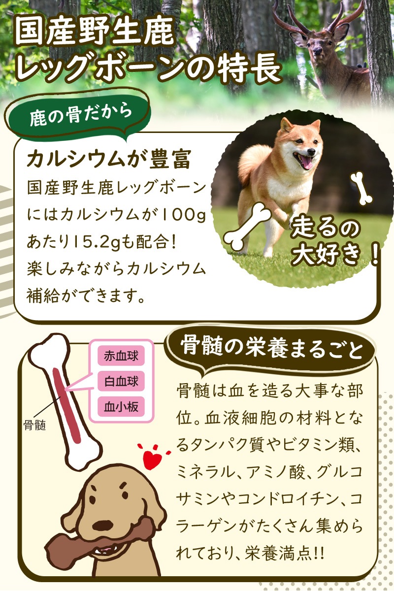 国産野生鹿レッグボーン M(げんこつなし10本) 歯磨き 骨 しか おやつ 国産野生鹿レッグボーン M(げんこつなし10本) 歯磨き 骨 しか おやつ