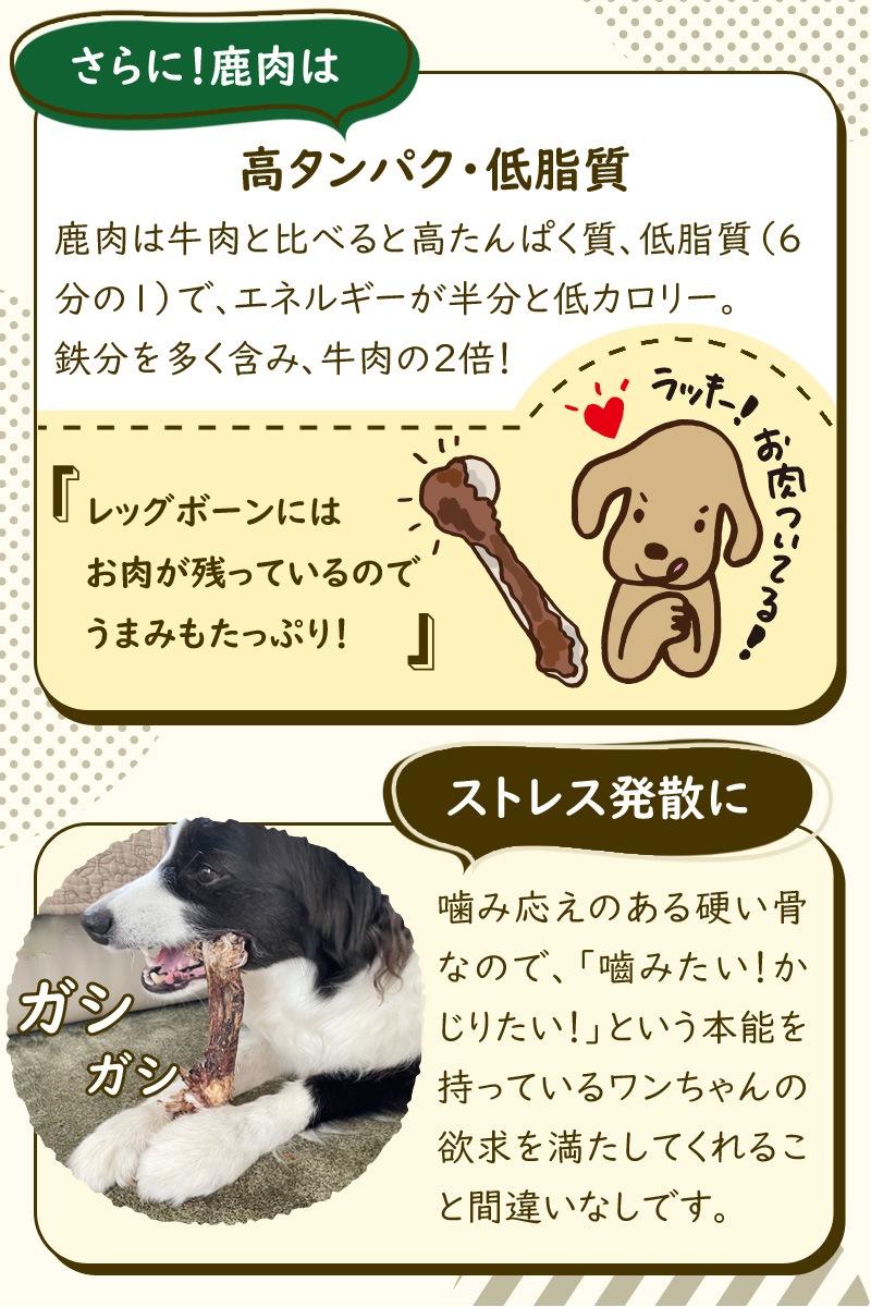 国産野生鹿レッグボーン M(げんこつなし10本) 歯磨き 骨 しか おやつ 国産野生鹿レッグボーン M(げんこつなし10本) 歯磨き 骨 しか おやつ