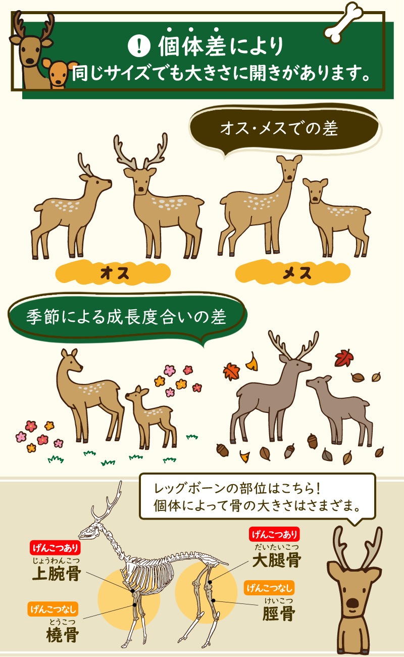 国産野生鹿レッグボーン M(げんこつなし10本) 歯磨き 骨 しか おやつ 国産野生鹿レッグボーン M(げんこつなし10本) 歯磨き 骨 しか おやつ