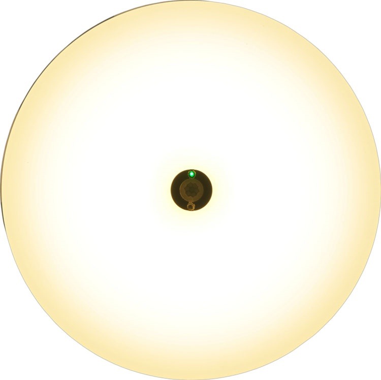 小型シーリングライト 薄形 2000lm 人感センサー付 SCL20LMS-UU 電球色 SCL20 メガ割