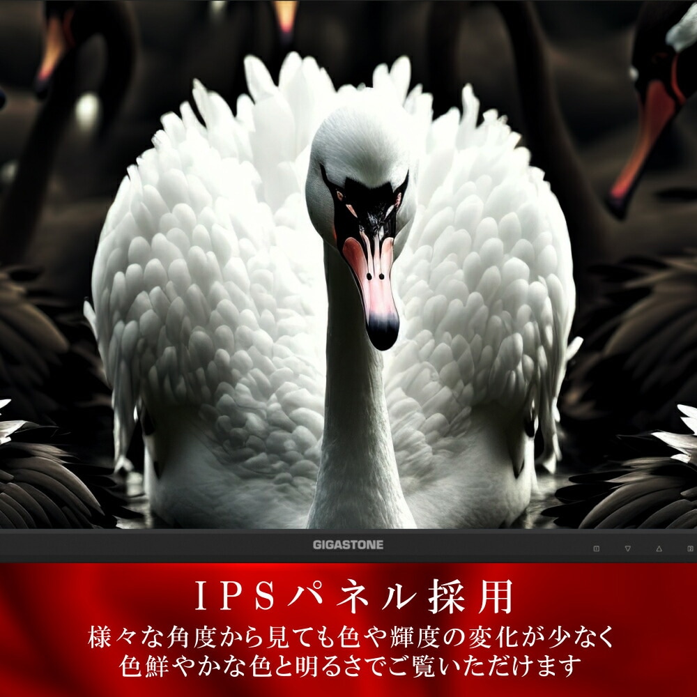 Gigastoneギガストーン 液晶ディスプレイ(27型/IPS/FullHD 1920×1080/75Hz/5ms/HDMI/D-Sub/VESA/3年保証)(ブラック) GJLM27FF227 Gigastoneギガストーン 液晶ディスプレイ(27型/IPS/FullHD 1920×1080/75Hz/5ms/HDMI/D-Sub/VESA/3年保証)(ブラック) GJLM27FF227