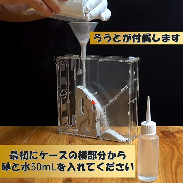 アリの巣観察キット 自由研究 昆虫採集セット 飼育ケース アリ飼育キット 水槽 砂なし