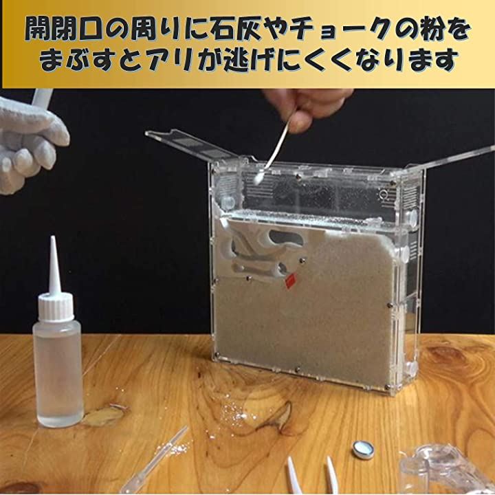 アリの巣観察キット 自由研究 昆虫採集セット 飼育ケース アリ飼育キット 水槽 砂なし