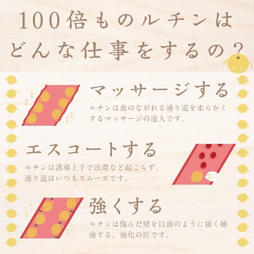 業務用そば茶 韃靼そば茶 ティーバッグ2400g (3g800包)! 業務用そば茶 韃靼そば茶 ティーバッグ2400g (3g800包)!