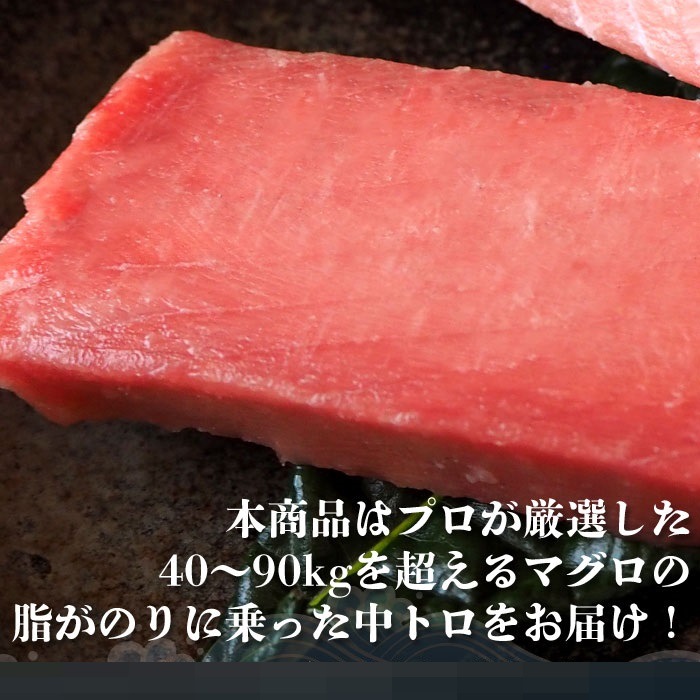 中とろ　600g 特上 お刺身 トロ　 メバチ マグロ まぐろ 天然 国産