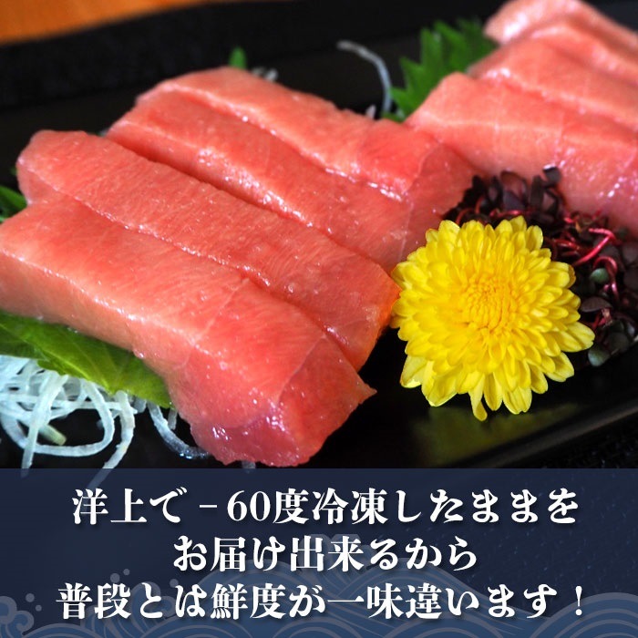 中とろ　600g 特上 お刺身 トロ　 メバチ マグロ まぐろ 天然 国産