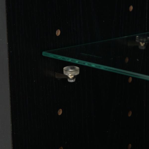 浅型ガラスコレクションケース ハイタイプ 幅48.5cm スリム ディスプレイ 強化ガラスケース リビング コレクションボード 飾り棚 収納ラック 浅型ガラスコレクションケース ハイタイプ 幅48.5cm スリム ディスプレイ 強化ガラスケース リビング コレクションボード 飾り棚 収納ラック