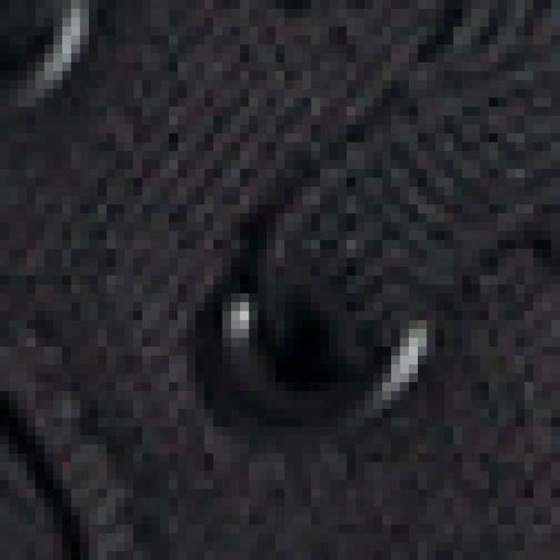 【アディダス】2.0/プラットフォーム/IE2310 【アディダス】2.0/プラットフォーム/IE2310