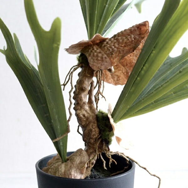 観葉植物 フェイクグリーン リアル 造花 ビカクシダ コウモリラン 人工 おしゃれ モダン 鉢植え インテリアグリーン 造花 インテリア雑貨 ポット 鉢 ブラック