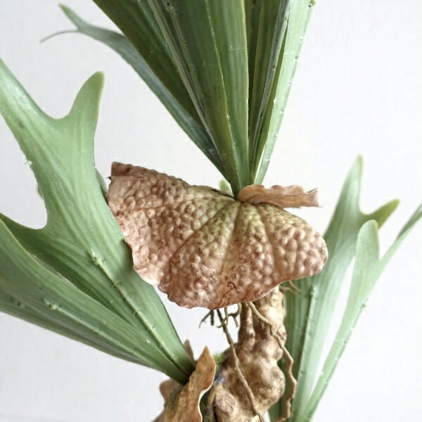 観葉植物 フェイクグリーン リアル 造花 ビカクシダ コウモリラン 人工 おしゃれ モダン 鉢植え インテリアグリーン 造花 インテリア雑貨 ポット 鉢 ブラック